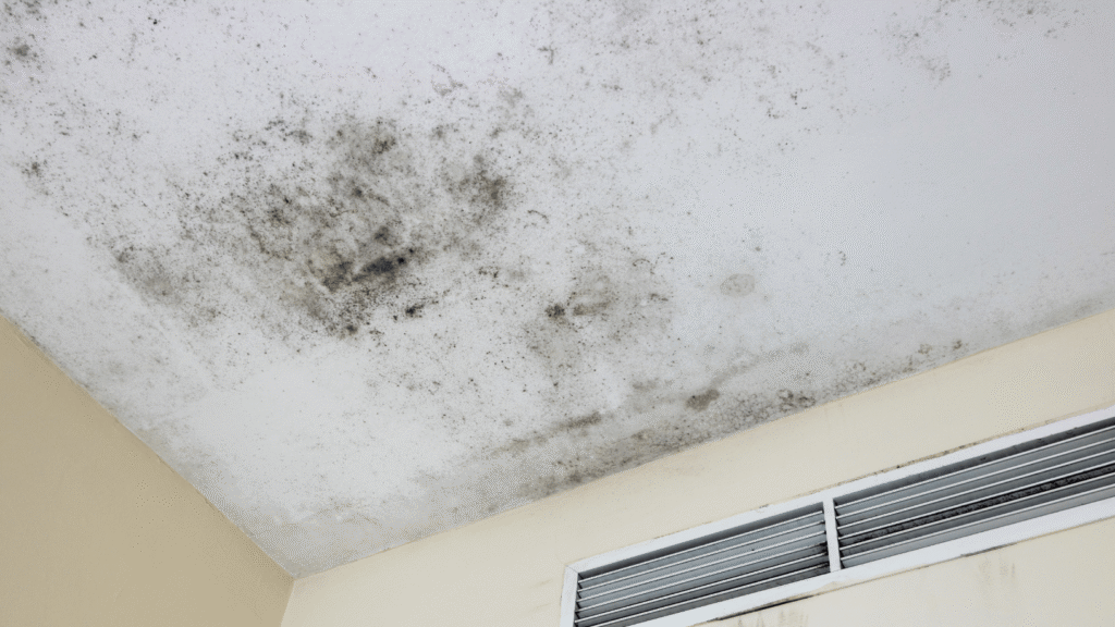 Home with mold
