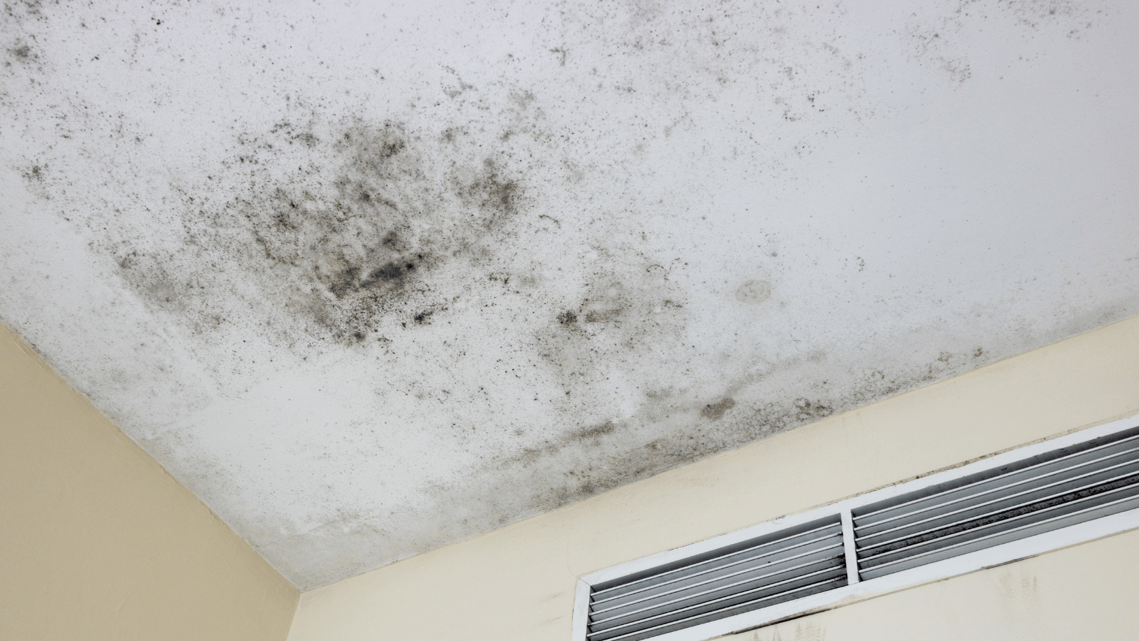 Home with mold